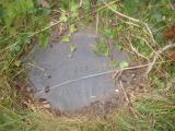 image of grave number 259129